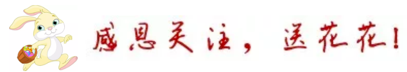 江苏少同公司